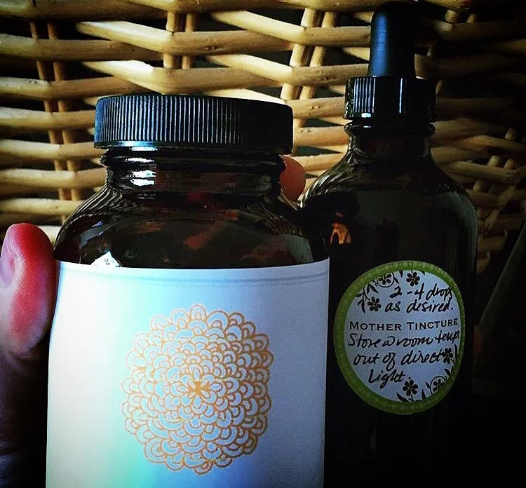 Placenta Medicine — Nourish Midwifery